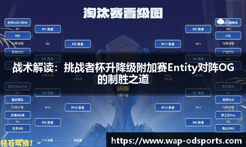 战术解读：挑战者杯升降级附加赛Entity对阵OG的制胜之道